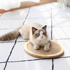 Wall Mounted Cat Scratcher Board With Suction Cup Toy