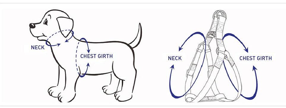 DOG HARNESS - LIGHT BLUE